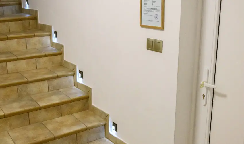 Tulipn Vendghz rvnyes - Oktber 23. (min. 2 j)