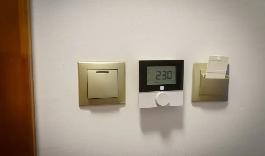 Tulipn Vendghz rvnyes - Oktber 23. (min. 2 j)