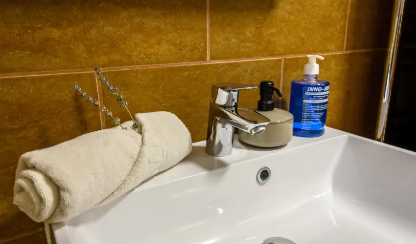 Tulipn Vendghz rvnyes - Oktber 23. (min. 2 j)