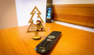 Tulipn Vendghz rvnyes