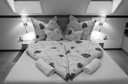 Tulipn Vendghz - Oktber 23. (min. 2 j)