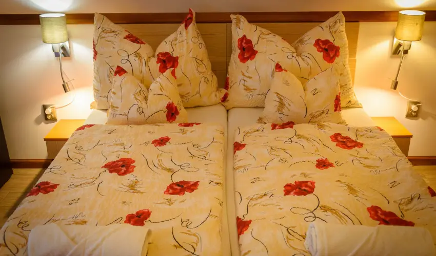 Tulipn Vendghz rvnyes - Oktber 23. (min. 2 j)