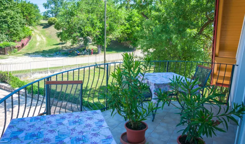 Tulipn Vendghz rvnyes - Oktber 23. (min. 2 j)