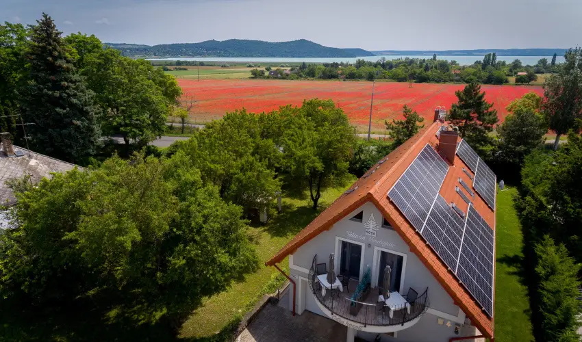 Tulipn Vendghz rvnyes - Oktber 23. (min. 2 j)