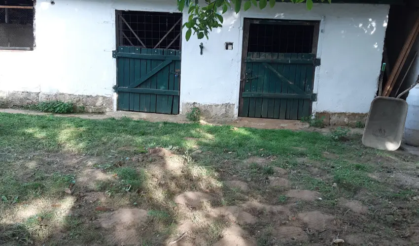 Tulip�nos Vend�gh�z �r - Okt�ber 23.