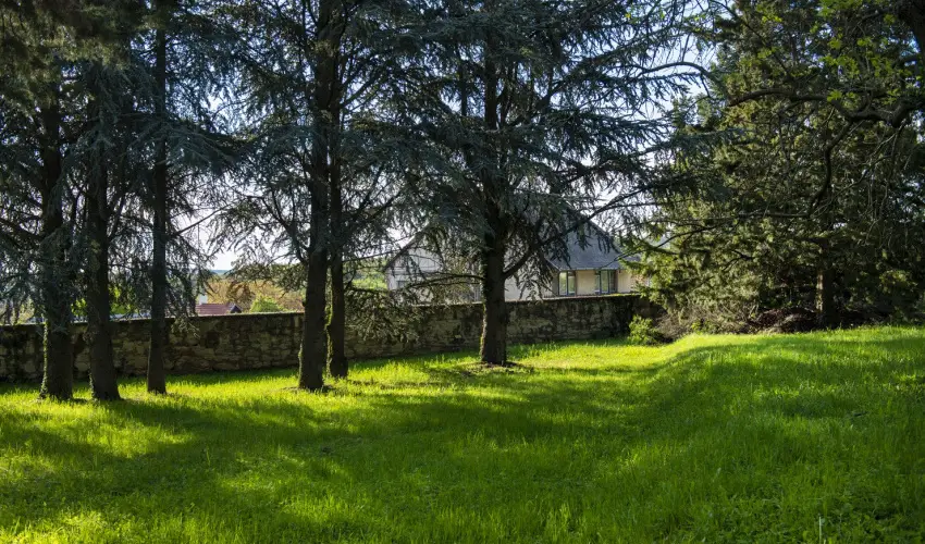 T�nd�rkert Hotel Noszvaj - Okt�ber 23. (min. 2 �j)