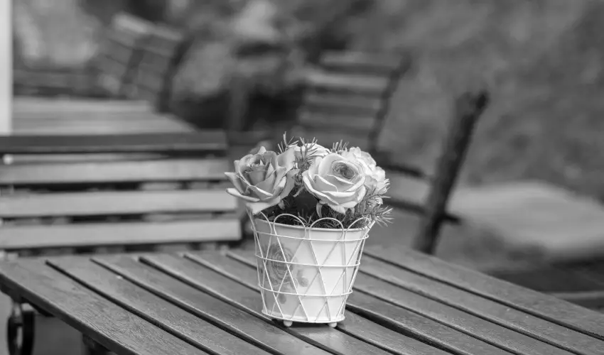 Tndrkert Hotel Noszvaj - Oktber 23. (min. 2 j)