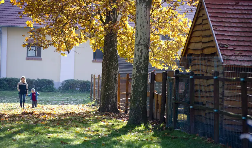 Vadkert Major Srvr - Oktber 23. 