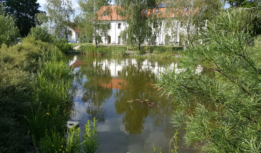 Vadkert Major Srvr - Oktber 23. 