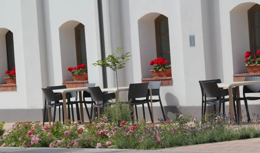 Vadkert Major Srvr - Oktber 23. 