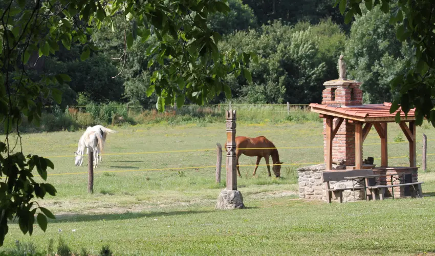 Vadkert Major Srvr - Oktber 23. 