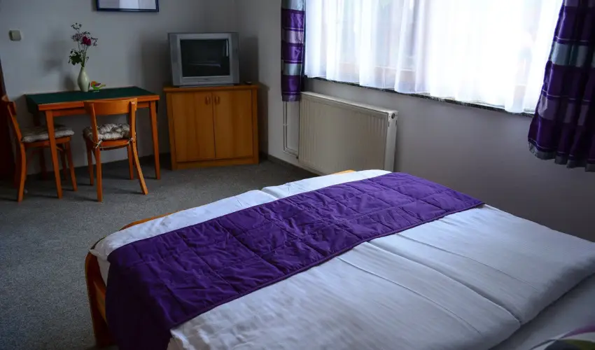 Vadr�zsa Vend�gh�z Szentendre - Okt�ber 23.