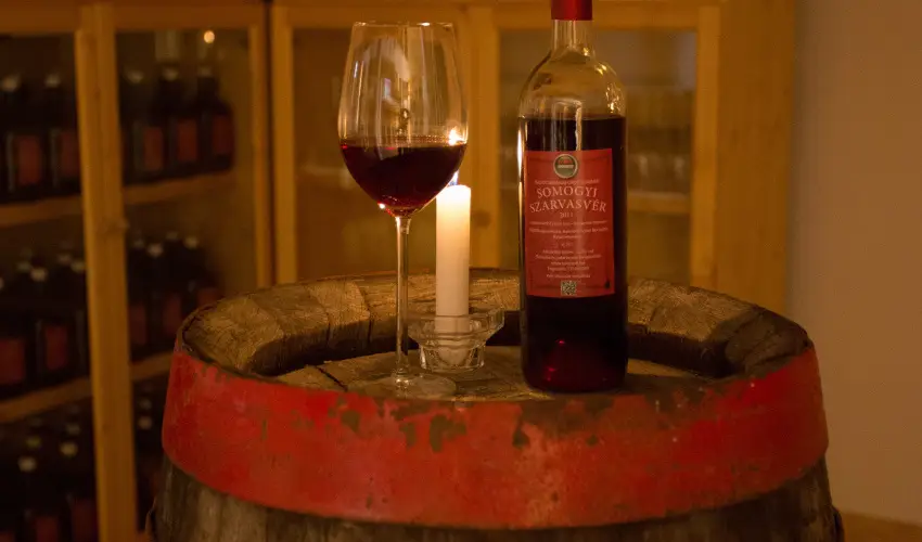 Viktor Bor- s Vendghz Balatonmriafrd - Oktber 23. 