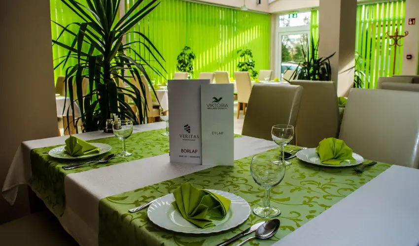 Wellness Hotel Viktria Nagyatd - Oktber 23. 