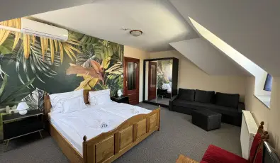 Hotel Villa Park Szilvsvrad