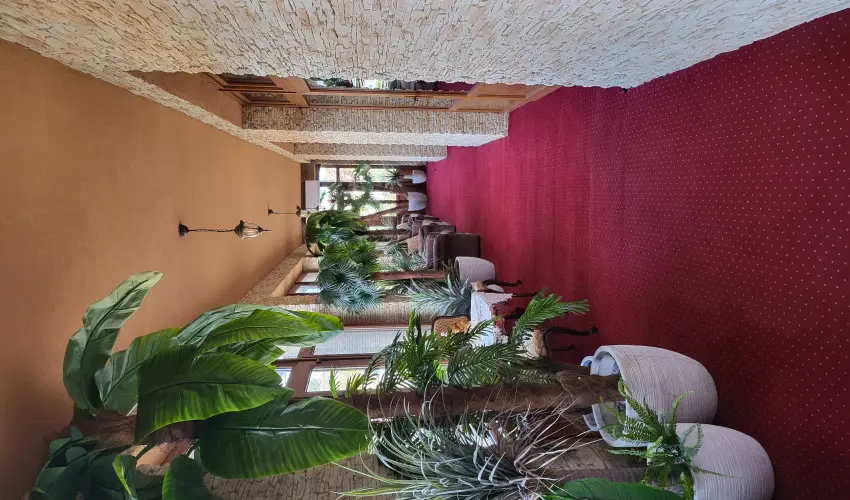 Vrs lom Apartman Panzi Tiszakcske Tiszakcske - Oktber 23.