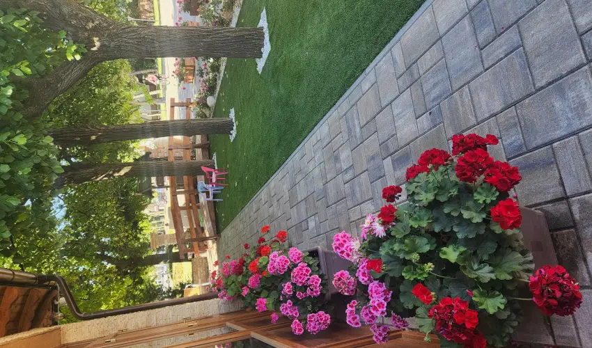 Vrs lom Apartman Panzi Tiszakcske Tiszakcske - Oktber 23.