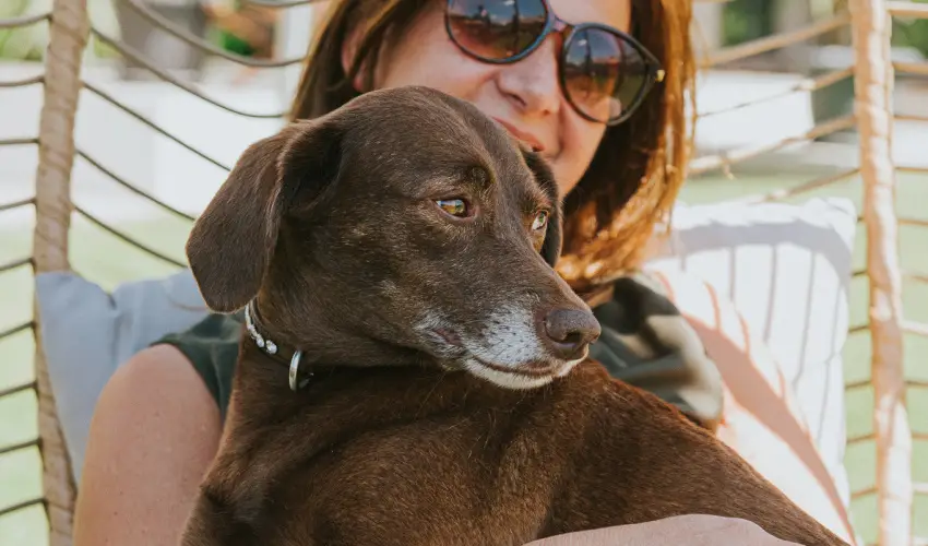 Wabi Hotel Sopron - Oktber 23. 