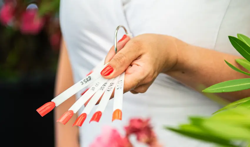 Wabi Hotel Sopron - Oktber 23. 