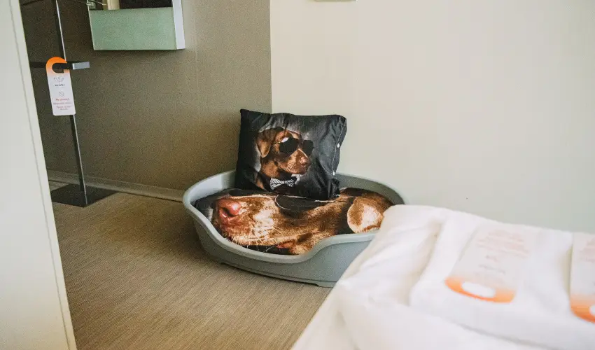 Wabi Hotel Sopron - Oktber 23. 