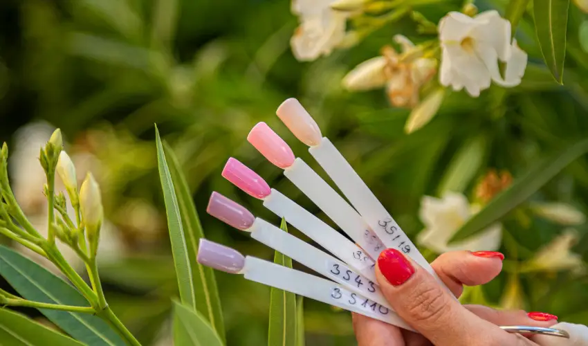 Wabi Hotel Sopron - Oktber 23. 