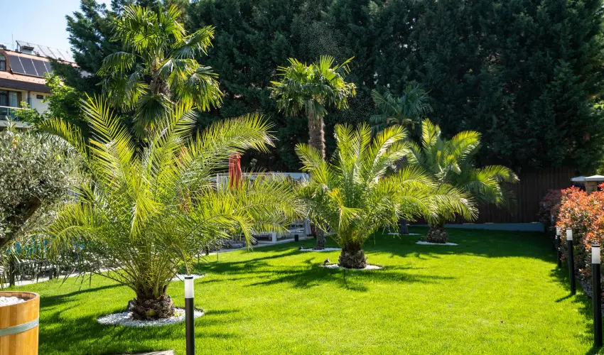 Wellness Hotel Gyula Gyula - Okt�ber 23. (min. 3 �j)