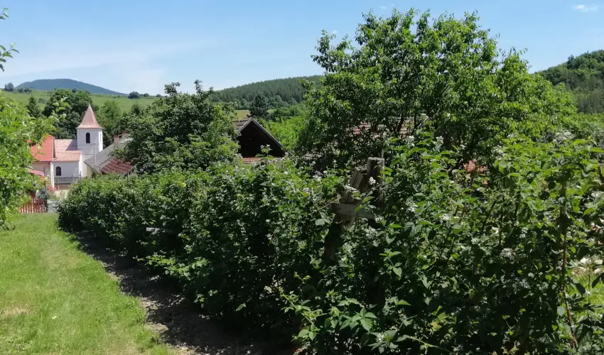 Zemplni Tndrkert Vendghz Fzrkomls - Oktber 23.