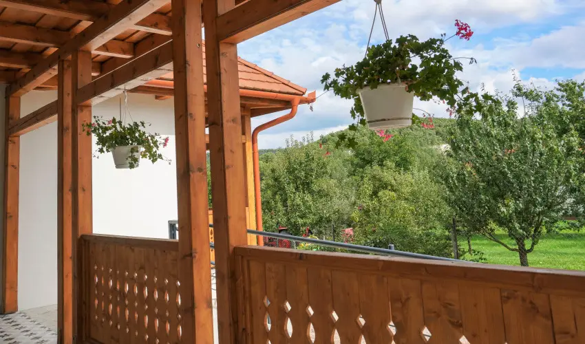 Zemplni Tndrkert Vendghz Fzrkomls - Oktber 23.