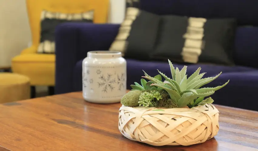 Zenit Panzi Miskolctapolca - Oktber 23. 