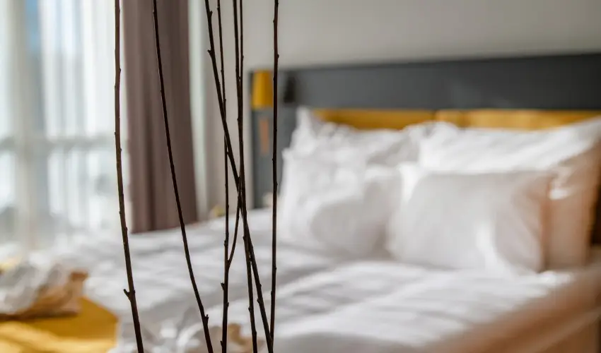 Zsry Liget Hotel & Spa Mezkvesd - Oktber 23.