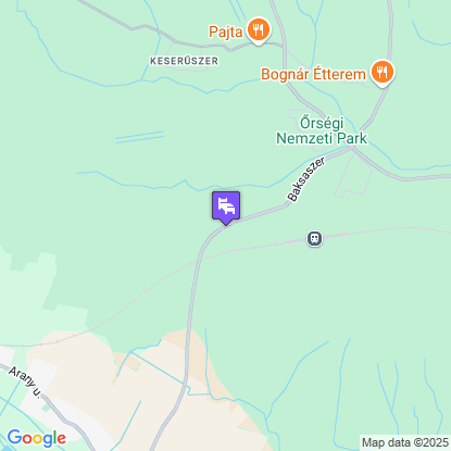 reBORONA Vendghz rsg a trkpen