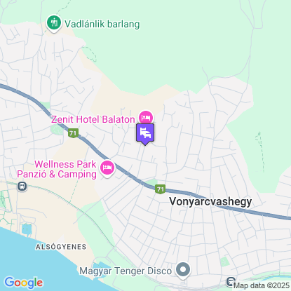 Zenit Hotel Balaton a trkpen